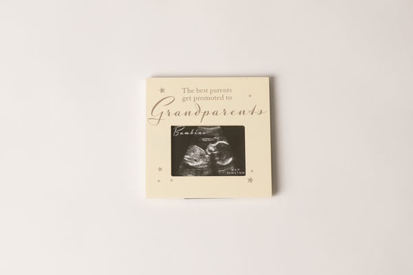 Grandparents baby scan reveal